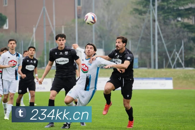 开云官网平台生态图