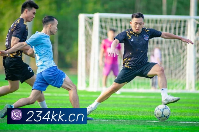 开云官网全站App